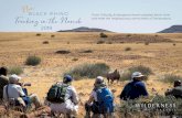 BLACK RHINO Tracking in the Namib · 2018. 12. 6. · Introducing Black Rhino Tracking in the Namib, one of a portfolio of eight life-changing, ‘purposeful’ journeys crafted to