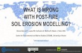 WHAT IS WRONG WITH POST-FIRE SOIL EROSION ......Soil erosion models are a resourceful tool in the decision-making process for environments that are or could be affected by wildfires,