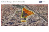 Active Orange Grove Property - LoopNet · 2019. 5. 21. · Active Orange Grove Property San Timoteo Canyon Rd, Redlands, CA 92373. 20180807_114556_resized Property Photos Active Orange