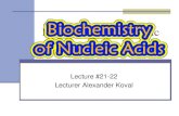 Lecture #21-22 Lecturer Alexander Koval...2018/09/21  · Lecture # 20-22. Biochemistry of Nucleic Acids Koval (C), 2011 3 Introduction to Nucleic Acids As a class, the nucleotides