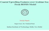 Coastal Upwelling Feat eatures over Arabian Sea From ROMS … · 2017. 2. 1. · Tanuja Supervisor- Dr. Indian Institute of Technology Delhi, New Delhi eatures over Arabian Sea-Model