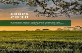 CROPS 2030CROPS 2030 | 3 Ireland’s crop production underpins the agri-food industry through the provision of high-quality, low carbon footprint, traceable livestock feed for dairy,