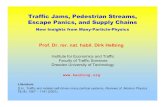 Traffic Jams, Pedestrian Streams, Escape Panics, and ...dieter/workshop/regensburg2.pdf · Traffic Jams, Pedestrian Streams, Escape Panics, and Supply Chains New Insights from Many-Particle-Physics