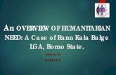 An OVERVIEW OF HUMANITARIAN NEED: A Case of Rann Kala … · 2020. 4. 30. · Rann, shortly after 27th February, 2019 On their return, mainly from the Cameroonian far North region,
