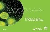 Beginner’s Guide to Aviation Biofuelsnews.bio-based.eu/.../BeginnersGuide_Biofuels_WebRes.pdf2009/06/16  · Beginner’s Guide to Aviation Biofuels: Page 1 In the early days of