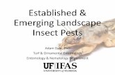 Established & Emerging Landscape Insect Pestssfyl.ifas.ufl.edu/media/sfylifasufledu/lake/docs/...Mole Cricket Chemical Control •Hot-dry soils •Will not allow product to get deep