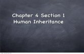 Chapter 4 Section 1 Human Inheritance...Chapter 4 Section 1 Human Inheritance Friday, January 28, 2011 Traits Controlled by A Single Pair of Alleles Many Human traits are controlled