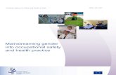 Mainstreaming gender into occupational safety and health … · 2019. 2. 28. · 4.3 Finnish Gender Equality Act, ... 4.13 Incorporating gender into WHO’s healthy workplaces model,