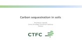 Carbon sequestration in soils · Soil carbon stocks: an overall view. Soil carbon stocks and climàtic areas. Soil carbon stocks depend on vegetation types. Plant cover ARI MED CON