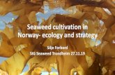 Seaweed cultivation in Norway- ecology and strategy...Seaweed cultivation in Norway- ecology and strategy Silje Forbord SIG Seaweed Trondheim 27.11.19 Important aspects of seaweed