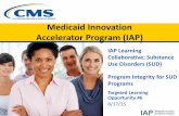Medicaid Innovation Accelerator Program (IAP)...2015/08/17  · Goals of Webinar • Participants will examine various aspects of program integrity with respect to substance use disorder