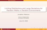 Limiting Distributions and Large Deviations for Random Walks in …peterson/research/Thesis... · 2008. 7. 23. · Thesis Presentation Limiting Distributions and Large Deviations