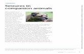 FOREWORD Seizures in companion animals · animals committed to my care.’ The primary aim for us as veterinary surgeons in the management of dogs and cats with epileptic seizures