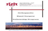 Orthopaedic Hand Surgery Fellowship Program · 2020. 8. 14. · Surgery of the Hand from the American Board of Orthopaedic Surgery. His clinical interests include complex upper extremity