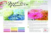 color how-todmcolor.com/wp-content/uploads/2014/04/JFF-flyer.pdfcombinations. color on color interaction Select a dye and a flower whose colors are near each other on the color wheel.