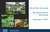 City of San Fernando Marijuana Policy Workshopci.san-fernando.ca.us/wp-content/uploads/2017/11/... · •In California the top five most regulated counties generate 60% of the sales