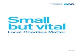 Small but vital - TSB Banking Group · 2020. 8. 30. · Small but vital: Local Charities Matter 5 Challenges faced by Britain’s charities TSB’s latest research on the way charities