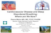 Cardiovascular Disease and Sleep Disordered …...• Autonomic fluctuations related to REM sleep • BP surges • Peak cortisol levels • Peak levels of systemic markers of inflammation