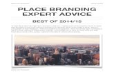 Advice From The Experts January 12, 2015 PLACE BRANDING …strengtheningbrandamerica.com/wp-content/uploads/2015/01/... · 2015. 1. 26. · PLACE BRANDING EXPERT ADVICE BEST OF 2014/15