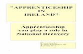APPRENTICESHIP IN IRELAND National Recovery Apprenticeship …michaelfitzmaurice.ie/wp-content/uploads/2015/02/... · 2015. 2. 13. · OECD reports and emphasises the importance of