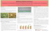 Wilting Watermelons - Amazon Web Servicesosu-wams-blogs-uploads.s3.amazonaws.com/blogs.dir/3272/...Graham Shaw, Olivia Hankel, Scott Lukas Oregon State University, Hermiston Agricultural