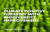 Our commitment: CLIMATE POSITIVE FORESTRY WITH BIODIVERSITY … · 19 hours ago · biodiversity to mitigate climate change and safeguard the vitality of our planet. This commitment