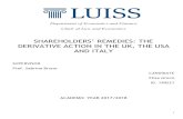 SHAREHOLDERS’ REMEDIES: THE DERIVATIVE …tesi.luiss.it/21874/1/199221_GRECO_ELISA_TESI UFFICIALE...Chair of Law and Economics SHAREHOLDERS’ REMEDIES: THE DERIVATIVE ACTION IN