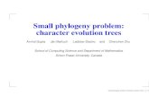 Small phylogeny problem: character evolution treesstelo/cpm/cpm04/17_Jan.pdf · set of characters set of states for each character costs of transitions from one state to another extant