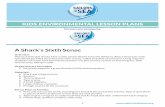 A Shark’s Sixth Sense · 2020. 6. 10. · A Shark’s Sixth Sense Overview: Did you know that sharks have a sixth sense? Sharks have the ability to detect electricity with specialized