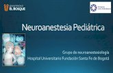 Cottrell J. Patel P; Neuroanesthesia,chapter 20 pediatric ...sca.org.co/images/stories/pdf/Revison-de-tema.-Neuroanestesia... · Cottrell J. Patel P; Neuroanesthesia,chapter 20 pediatric