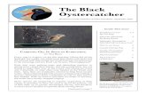 The Black Oystercatcher - mendocinocoastaudubon.org · Page 2 The Black Oystercatcher, September 2020 Continued from page 1 This, however, is the pause before another big flurry of