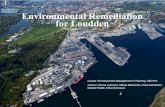 Environmental Remediation for Loudden · Loudden and information regarding specific remediation methods, GIS (geographical information systems) analysis to determine where remediation