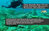 The Sandy Bay West End Marine Reserve, Roatán, Honduras files/ProTECTOR Inc. 2014... · 2020. 2. 11. · 2 IMPACTS OF RECREATIONAL DIVING ON HAWKSBILL SEA TURTLES (ERETMOCHELYS IMBRICATA)