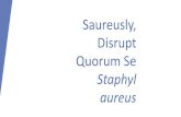 Saureusly, Disrupt Quorum Seusers.wpi.edu/~agatsonis/Docs/STEMPoster.pdf · 2018. 5. 24. · Quorum Sensing Quorum sensing is the method by which bacteria within a biofilm express