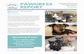 June 2020 Newsletter - s3.us-east-1.amazonaws.com€¦ · Purina Kitten Chow Cat litter Cat litter deodorizer KMR (kitten milk replacer) Unflavored Pedialyte Hi, I'm Myra and I am