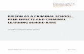 Prison as a Criminal sChool: Peer effeCts and Criminal learning … · and network spillovers in prison. For such crimes, exposure to experts in the inmate’s own crime field of