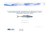 Environmental analysis of Bluefin Tuna: Identifying its preferred …publications.jrc.ec.europa.eu/repository/bitstream... · 2012. 4. 17. · Bluefin tuna (BFT) populations (Atlantic,