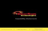 Capability Statement - BlueSun Tech Statement (Final 2017).pdf · solutions for our Federal Government clients. BlueSun Technologies is dedicated to DoD and Civilian Federal agencies