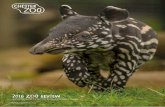 2016 ZOO REVIEW - Chester Zoo€¦ · 2016 was also the first time that we had a large-scale deployment of ... Female elephant calf ‘Indali Hi Way’ born ... more evening slots