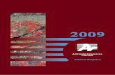2009 - Andromeda Metals · 2019. 6. 27. · John den Dryver Non Executive Director Keith Yates Non Executive Director Andrew Brown Non Executive Director Registered and Principal