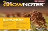 SORGHUM - GRDC · 2018. 4. 29. · iii What's neW SORGHUM fi- fl- February 2017 What’s new The GRDC GrowNotes are dynamic documents that are updated according to user feedback and