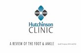 A REVIEW OF THE FOOT & ANKLEhutchregional.com/sites/default/files/Geoff Kraemer Foot... · 2016. 11. 16. · Home remedy…if you have time Salicylic Acid Liquid Nitrogen Other Chemicals