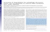 Granzyme B degradation by autophagy decreases tumor cell … · 2013. 10. 18. · Granzyme B degradation by autophagy decreases tumor cell susceptibility to natural killer-mediated