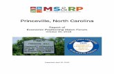 Princeville, North Carolina · 2019. 8. 27. · Princeville is a resilient and proud community and, with its unique history, can be a center for innovation. For the past 134 years,
