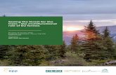 Seeing the forest for the trees - the multifunctional role ...€¦ · 2020-01-21  · Forests and the forest-based sector are recognised as essential players in responding to major