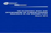 THE ECONOMIC RISKS AND OPPORTUNITIES OF CLIMATE CHANGE RESILIENCE … · 2018. 6. 8. · The Economic Risks and Opportunities of Climate Resilience in the Western Cape 4 Figure 1: