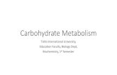 Carbohydrate Metabolism - tiu.edu.iq · Carbohydrate Metabolism Disorders •There are multiple diseases that arise from improper carbohydrate metabolism. Diabetes mellitus is caused