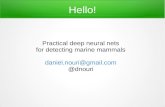Practical deep neural nets for detecting marine mammals ...danielnouri.org/docs/dclde2013-neural-nets.pdfConvolutional Neural Networks [Krizhevsky 2012] Improving neural networks by