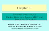 Chapter 13isu.indstate.edu/acharmo/acct404pdf/CH13comp.pdf · 2002. 12. 5. · Chapter 13 Property Transactions: Capital Gains and Losses, ... – Creative works (e.g., art, music,