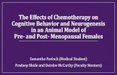 The effects of chemotherapy on cognitive behavior and neurogenesis … · 2019. 12. 21. · Background: Hippocampal Neurogenesis •Within the dentate gyrus of the hippocampus, new